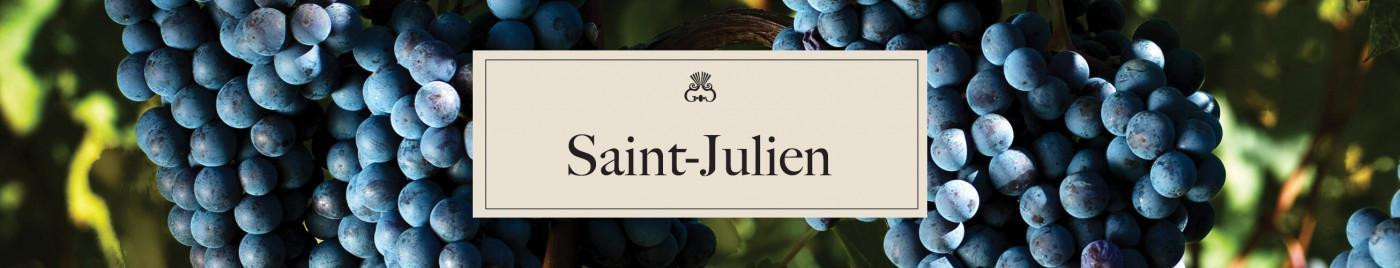 Vins de Bordeaux en Primeurs 2024  |  Appellation Saint-Julien