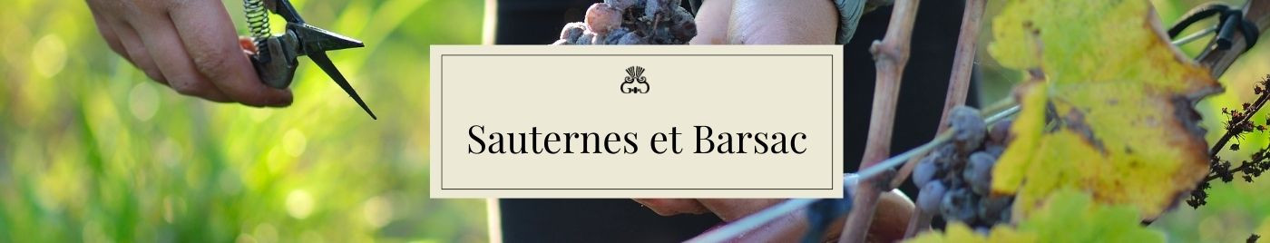 Vins de Bordeaux en Primeurs 2024 |  Appellations Sauternes + Barsac